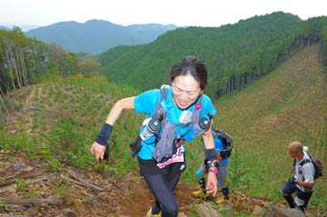 hase71k2014_1124