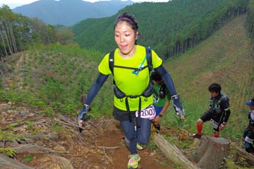 hase71k2014_1485