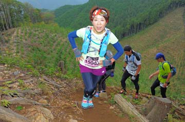hase71k2014_1681