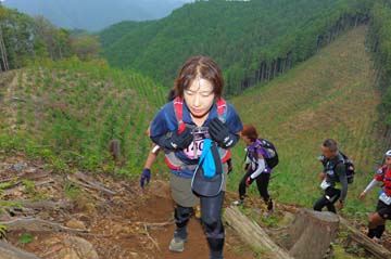 hase71k2014_1711