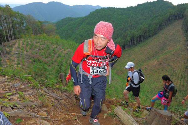 hase71k2014_1931