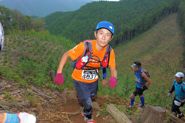 hase71k2014_1952