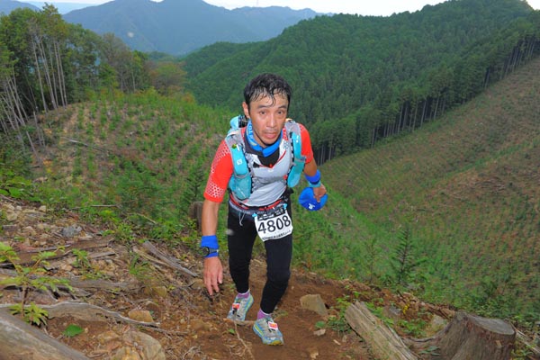 hase71k2014_1984