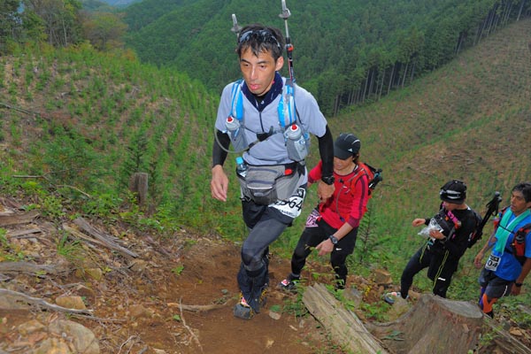 hase71k2014_2011