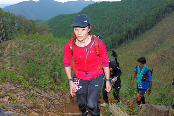 hase71k2014_2013