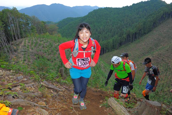 hase71k2014_2291