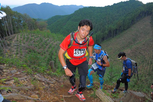 hase71k2014_2383
