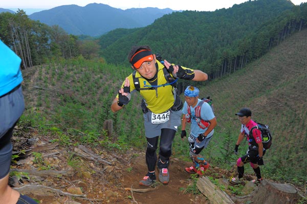 hase71k2014_2411