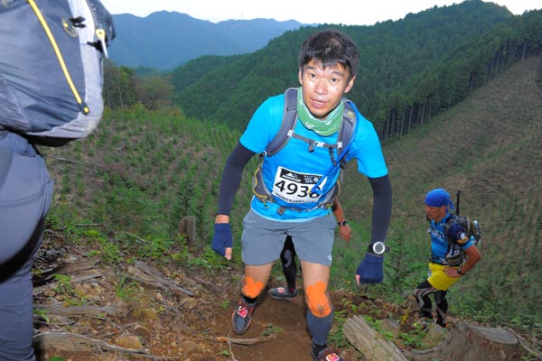 hase71k2014_2441