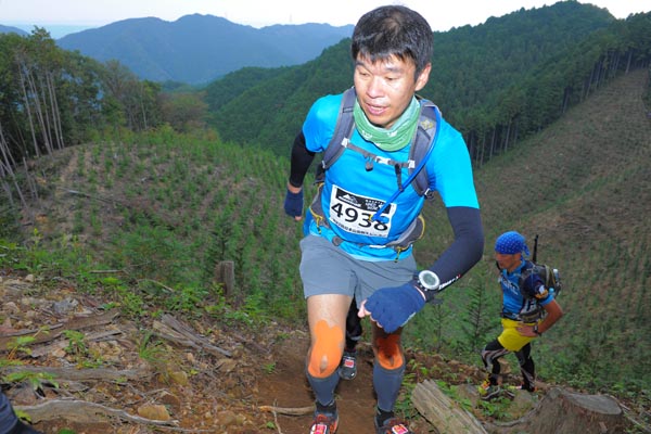 hase71k2014_2442