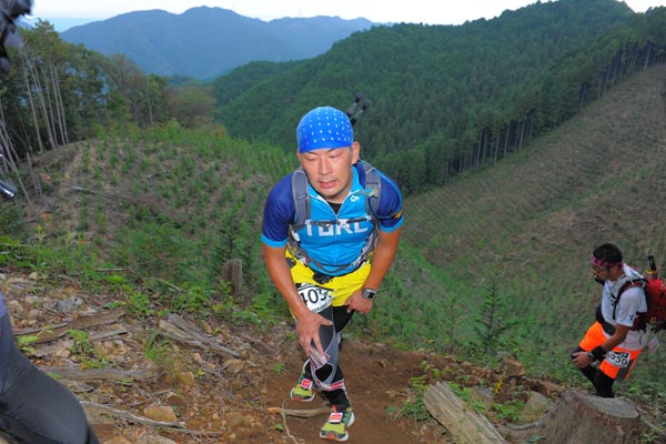 hase71k2014_2446