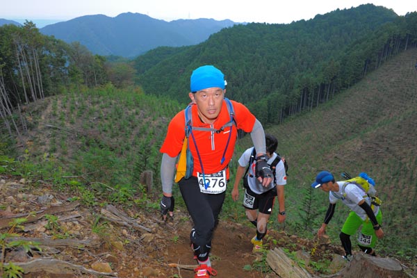 hase71k2014_2460