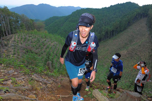 hase71k2014_2466
