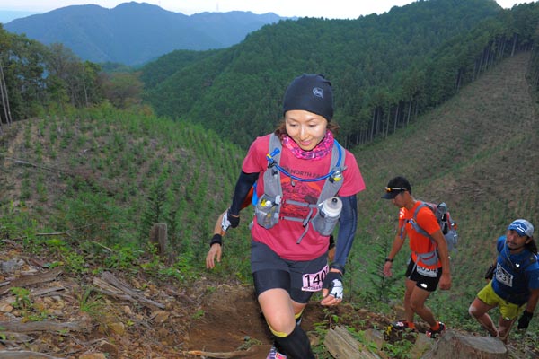 hase71k2014_2482
