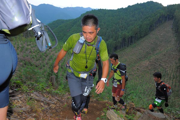 hase71k2014_2504