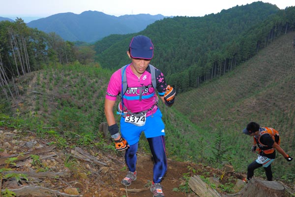 hase71k2014_2524