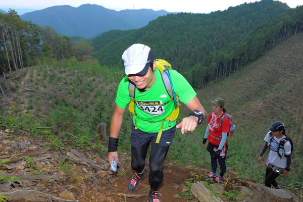 hase71k2014_2532