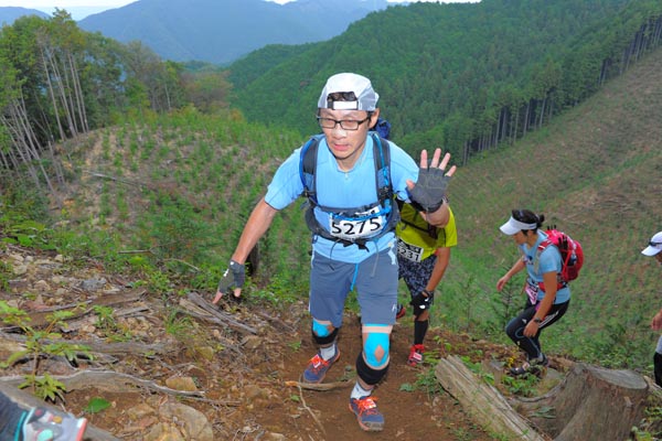 hase71k2014_2671