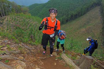 hase71k2014_1977