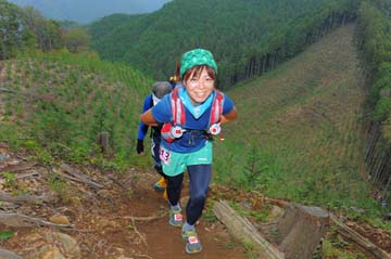 hase71k2014_1980