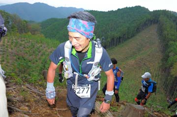 hase71k2014_1996