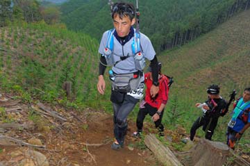 hase71k2014_2012