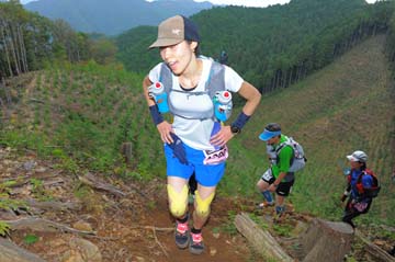 hase71k2014_2044