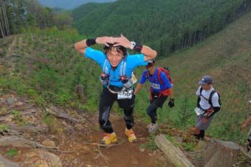 hase71k2014_2062