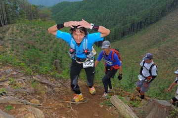 hase71k2014_2063