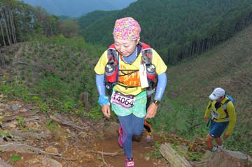 hase71k2014_2191