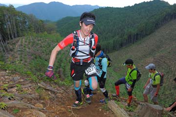 hase71k2014_2199