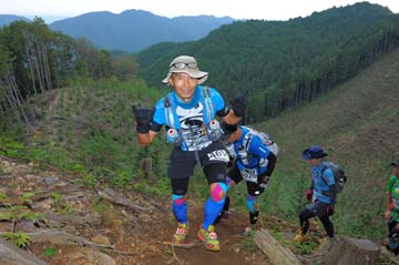 hase71k2014_2205