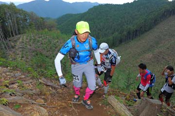 hase71k2014_2214