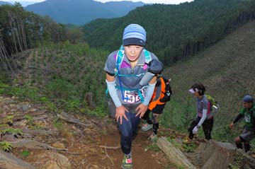 hase71k2014_2263