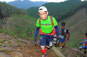 hase71k2014_2294