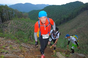 hase71k2014_2461