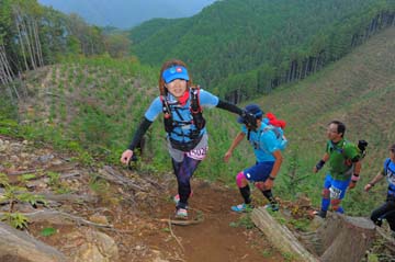 hase71k2014_2694