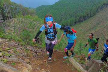hase71k2014_2695