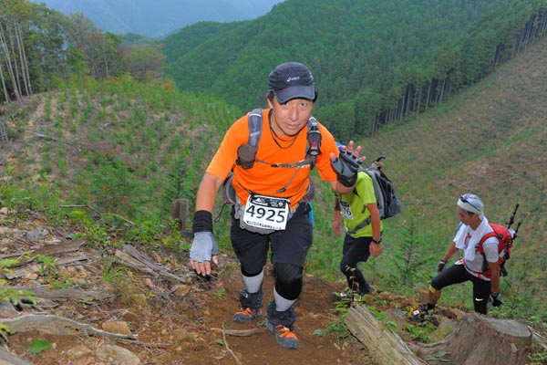 hase71k2014_2811