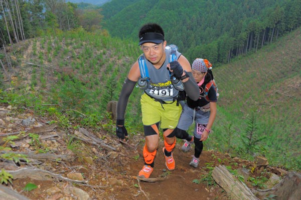 hase71k2014_2816