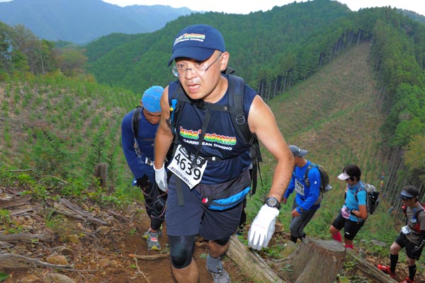 hase71k2014_2911