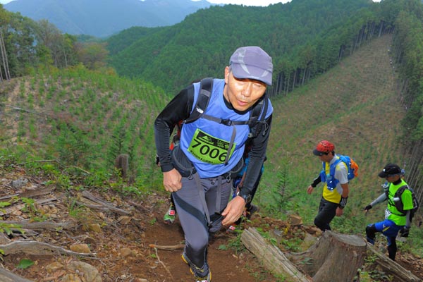 hase71k2014_2954