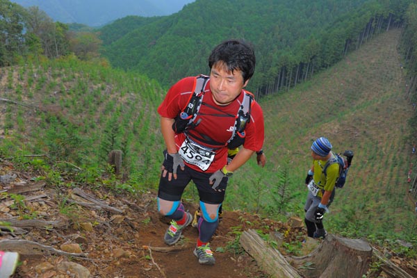 hase71k2014_2966