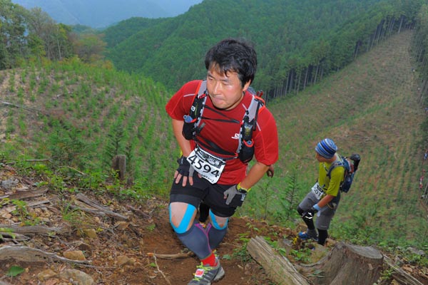 hase71k2014_2967