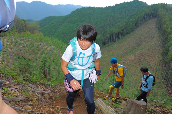 hase71k2014_2978