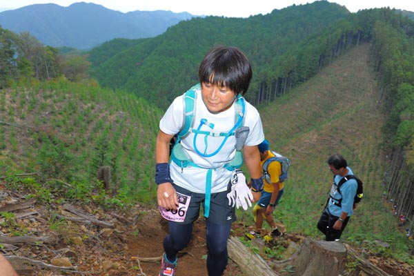 hase71k2014_2979