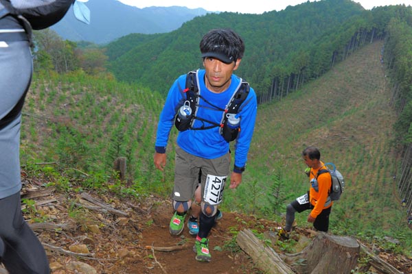 hase71k2014_2998
