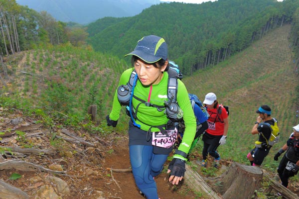 hase71k2014_3182