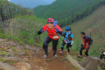 hase71k2014_2775