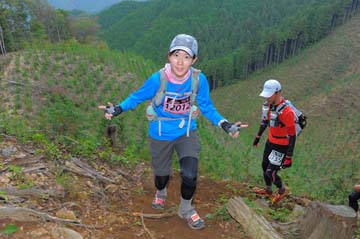 hase71k2014_2784